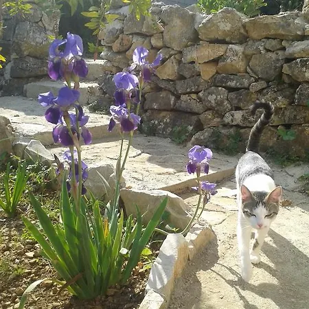 Διαμέρισμα Ariena Βις